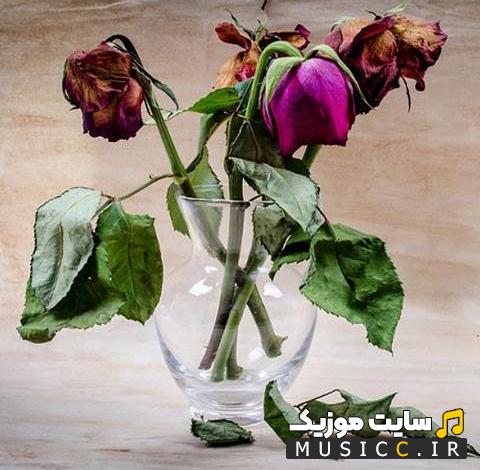 دانلود آهنگ یار عزیزم بی مو جر کرده ریمیکس معروف اینستا