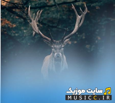 دانلود آهنگ آهوی منو کردنش شکارش ریمیکس
